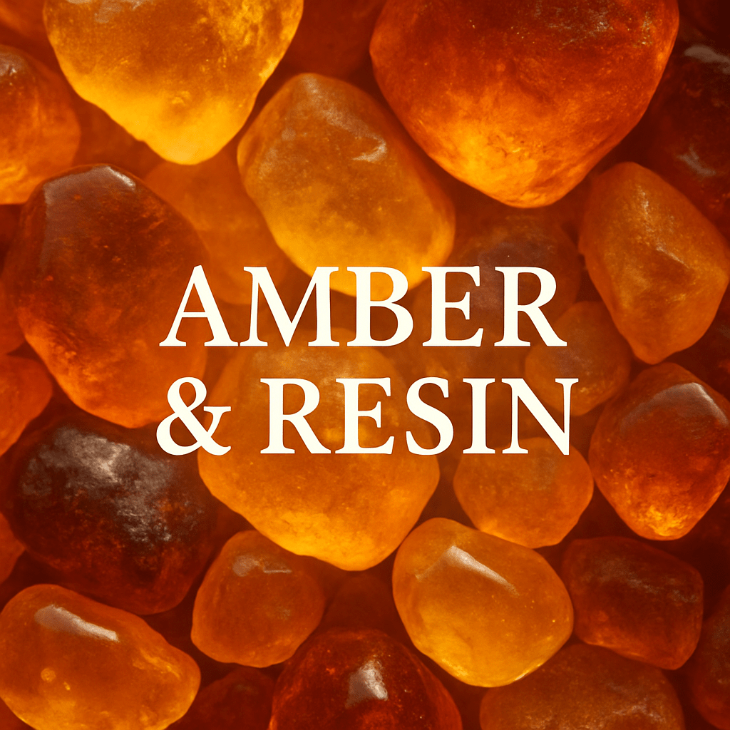 The Amber & Resin Collection - ScentLab
