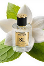 BACARAT ROUGE 540 - Luxury Perfume by ScentLab Fragrances