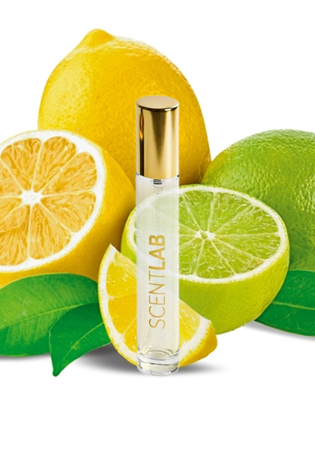 BARAN - Luxury Perfume by ScentLab Fragrances