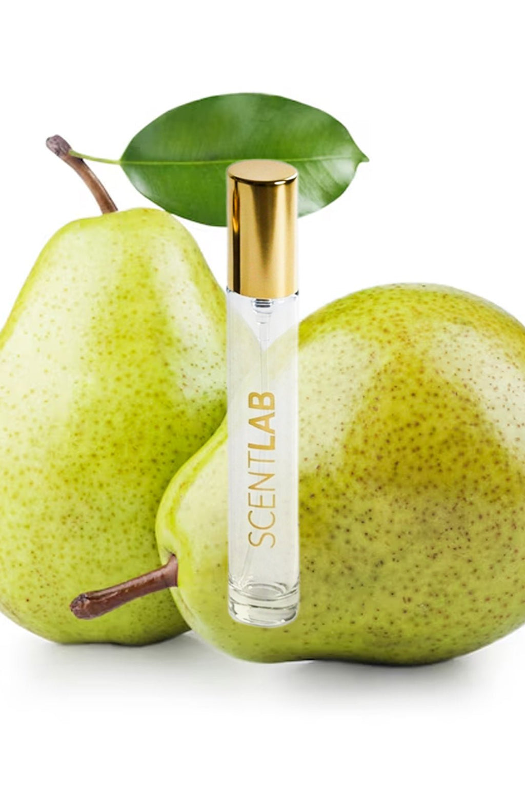 CEST LA VIE - Luxury Perfume by ScentLab Fragrances