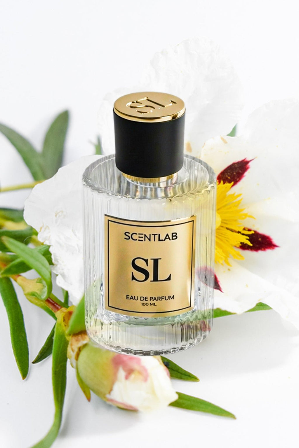 CREED LORD - Luxury Perfume by ScentLab Fragrances