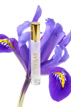 GREY - Luxury Perfume by ScentLab Fragrances