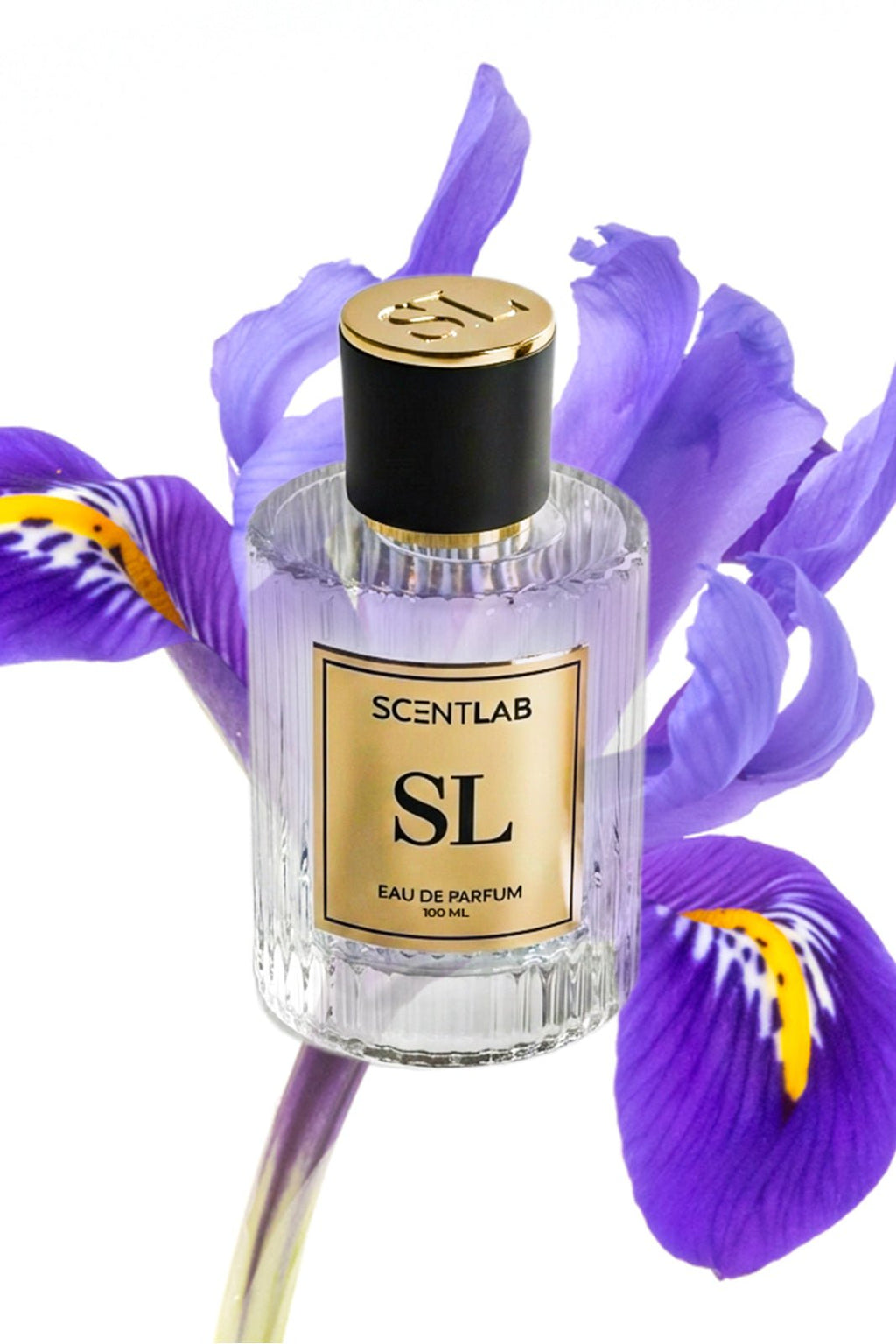 GREY - Luxury Perfume by ScentLab Fragrances