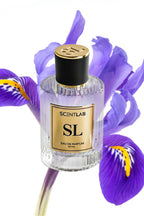 GREY - Luxury Perfume by ScentLab Fragrances