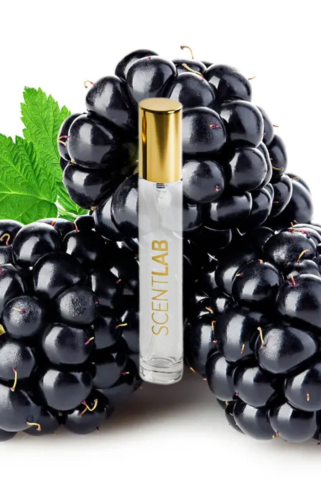 HER - Luxury Perfume by ScentLab Fragrances