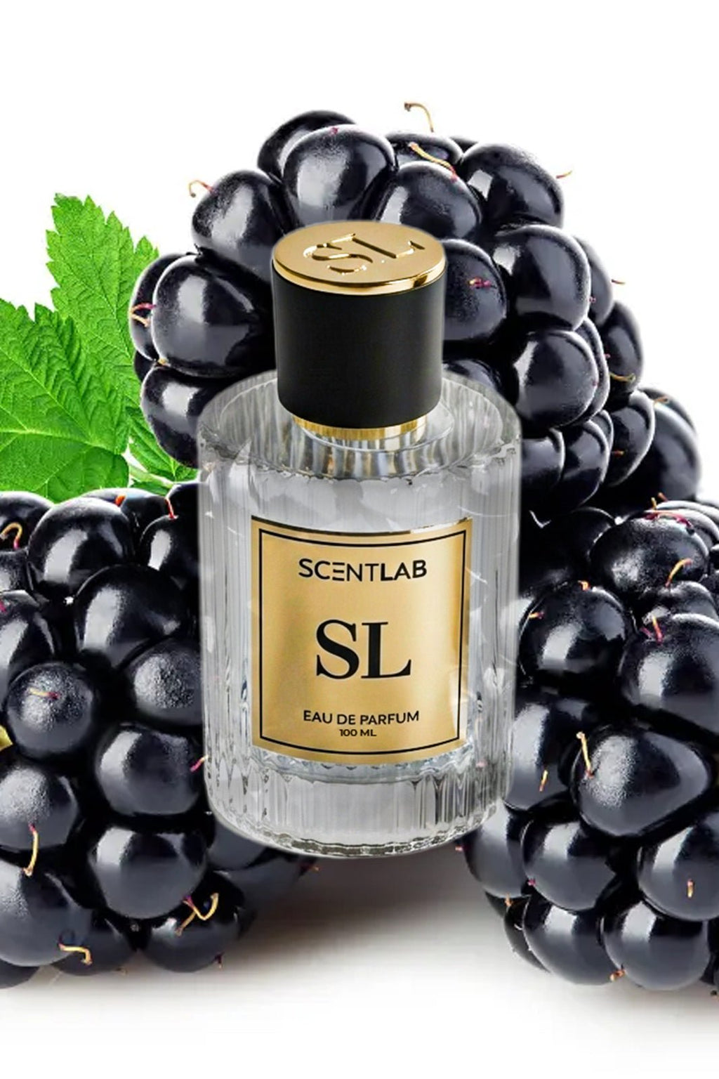 HER - Luxury Perfume by ScentLab Fragrances