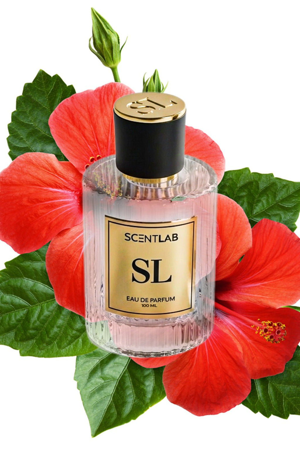 HIBISCUS - Luxury Perfume by ScentLab Fragrances
