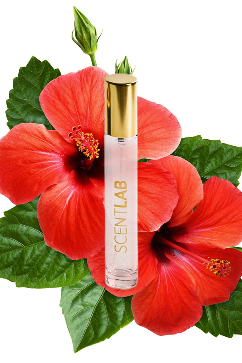 HIBISCUS - Luxury Perfume by ScentLab Fragrances