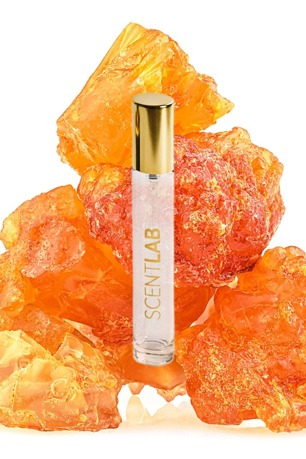 IMAGINATION - Luxury Perfume by ScentLab Fragrances