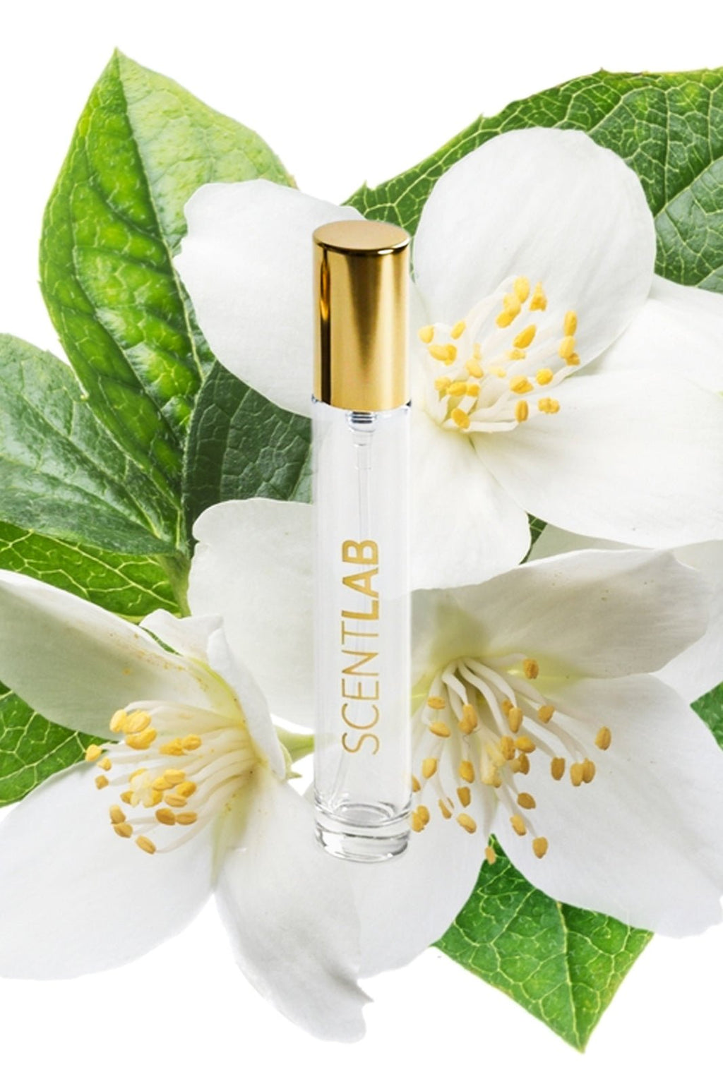 KAYA - Luxury Perfume by ScentLab Fragrances