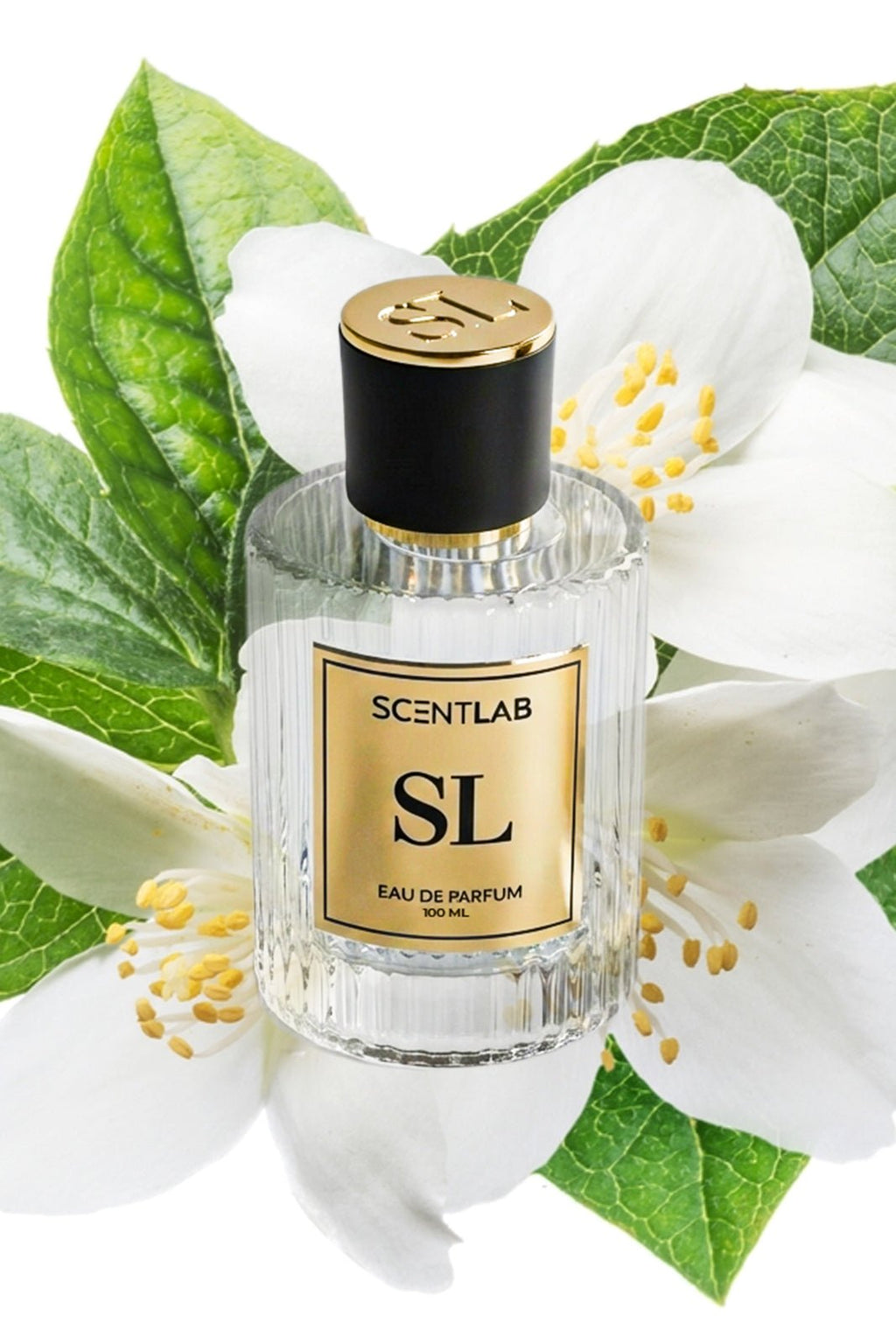 KAYA - Luxury Perfume by ScentLab Fragrances