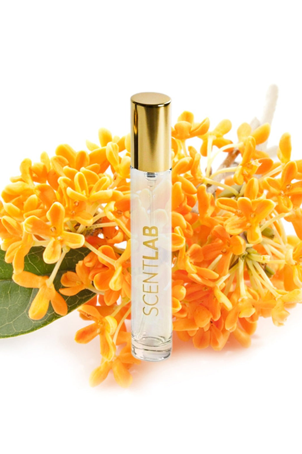 OAJAN - Luxury Perfume by ScentLab Fragrances