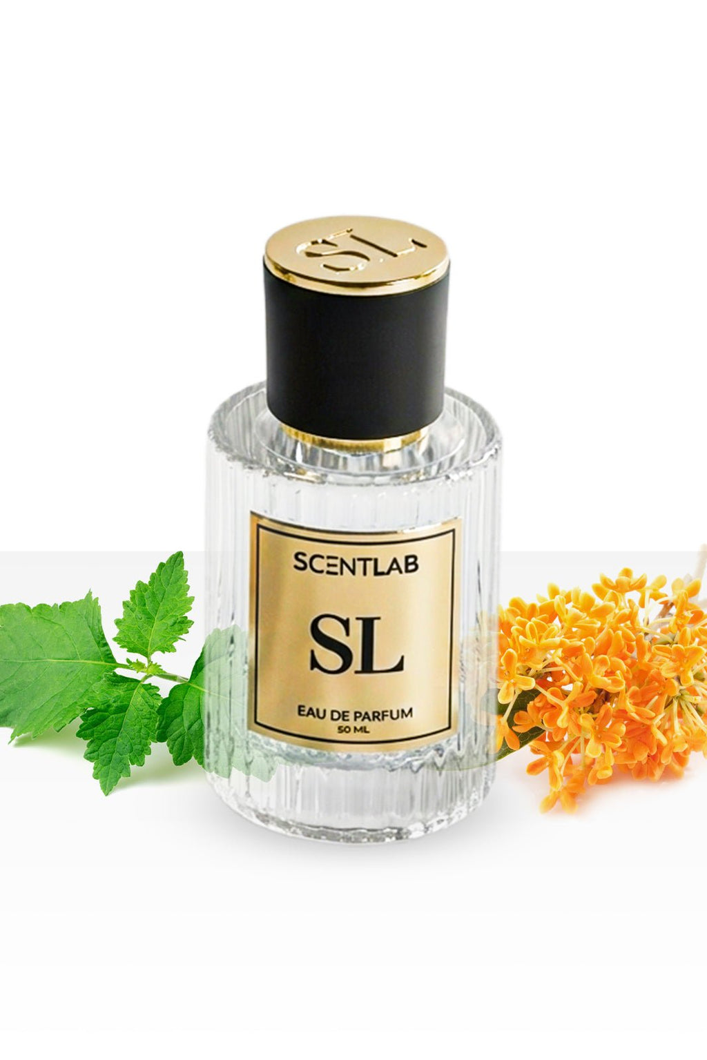 OAJAN - Luxury Perfume by ScentLab Fragrances