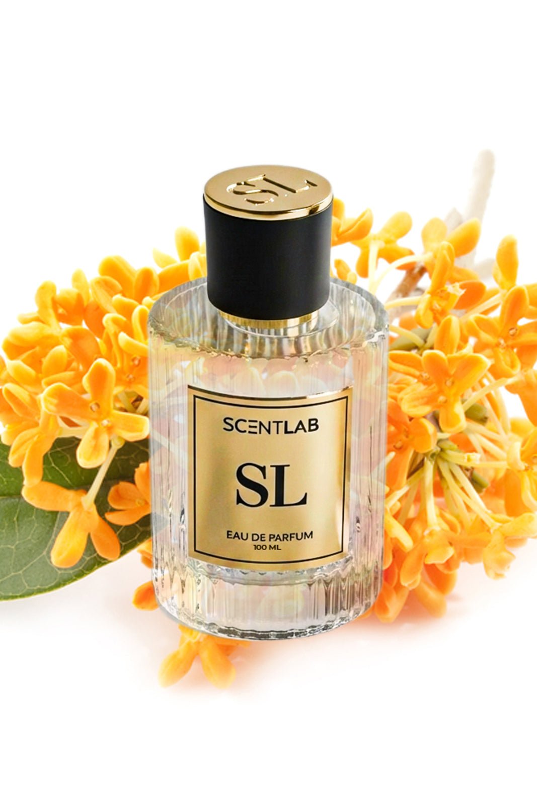 OAJAN - Luxury Perfume by ScentLab Fragrances
