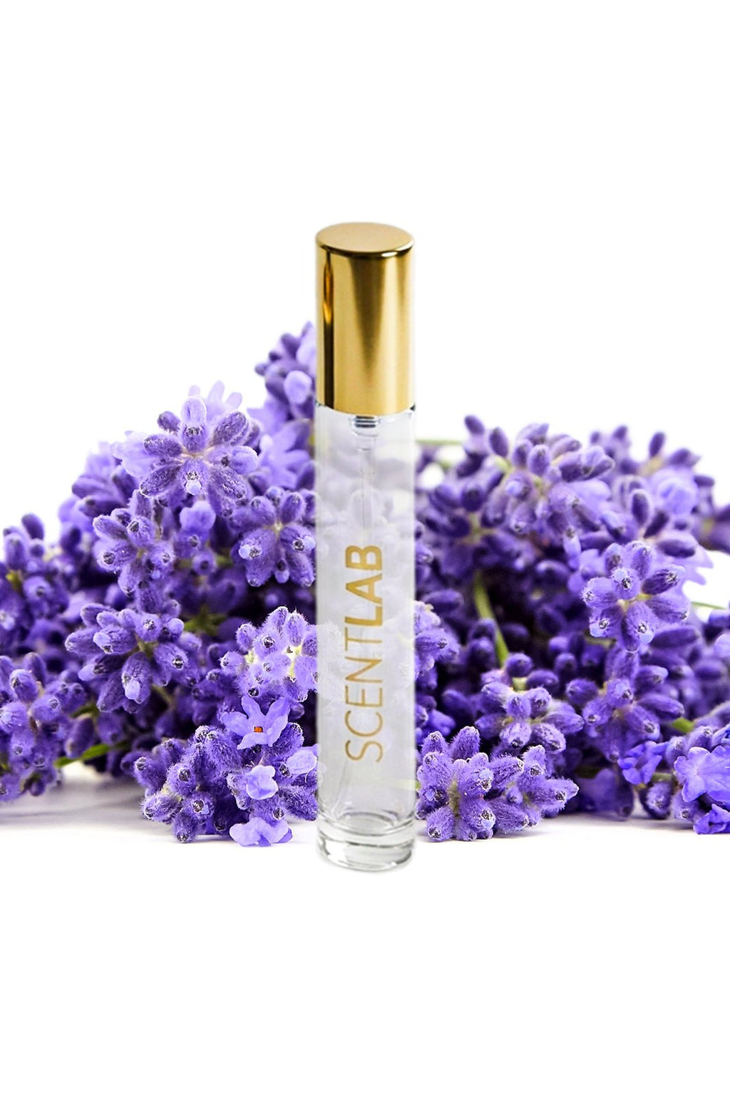 OPIUM - Luxury Perfume by ScentLab Fragrances