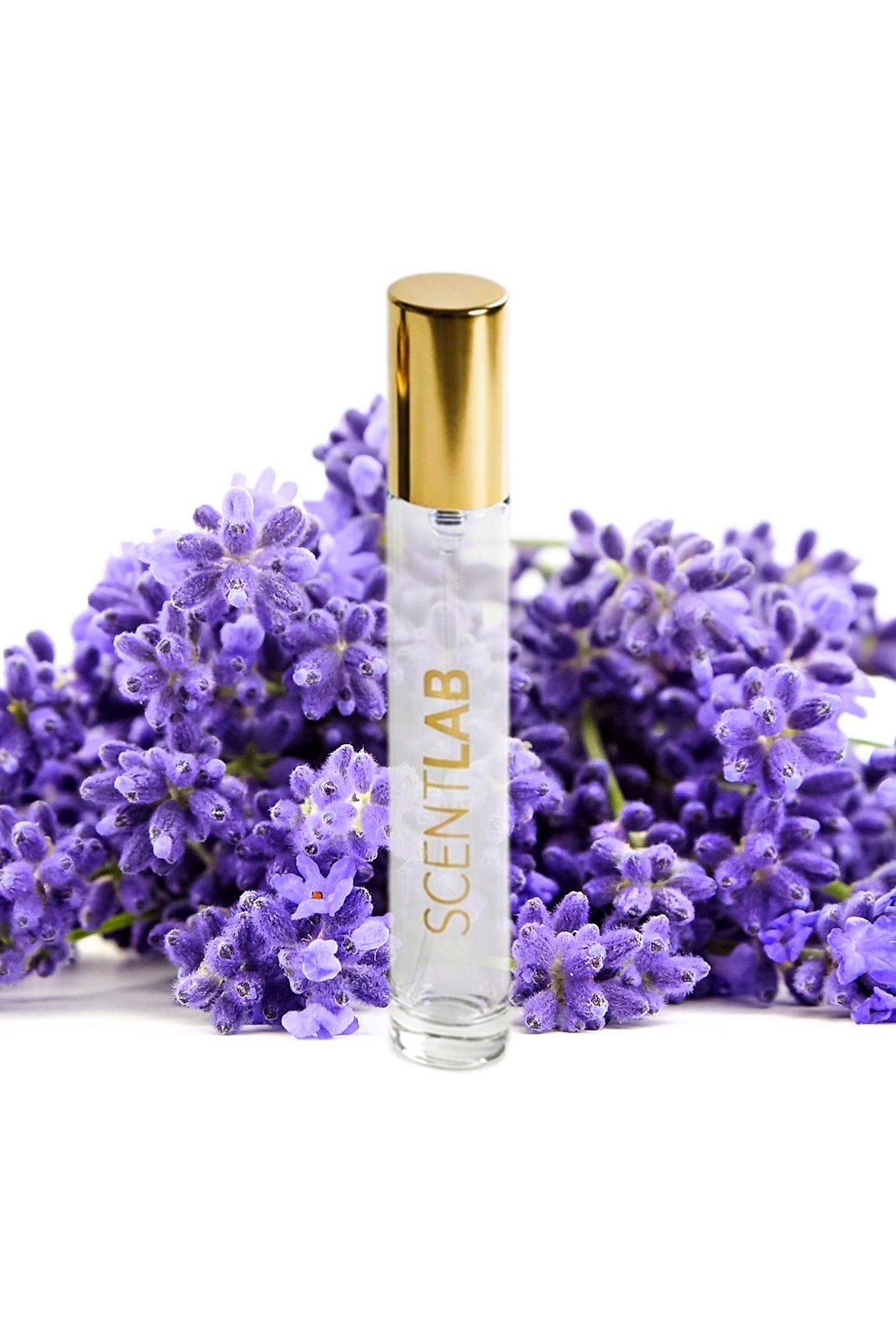 OPIUM - Luxury Perfume by ScentLab Fragrances