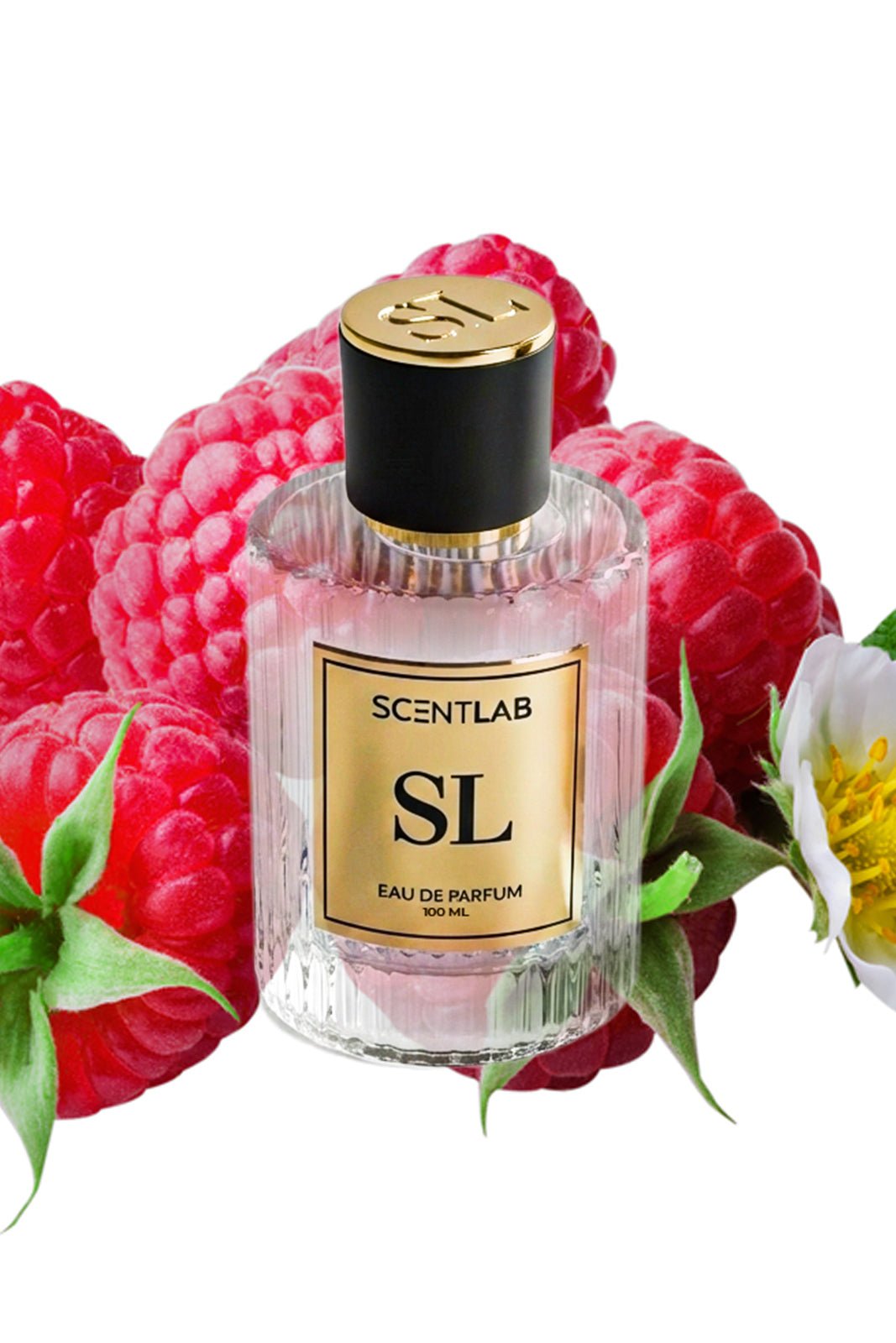 ROSE - Luxury Perfume by ScentLab Fragrances