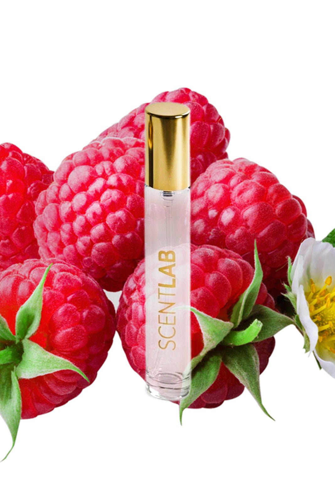 ROSE - Luxury Perfume by ScentLab Fragrances