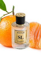 SILVER STONE - Luxury Perfume by ScentLab Fragrances