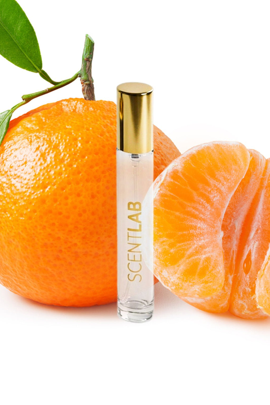 SILVER STONE - Luxury Perfume by ScentLab Fragrances