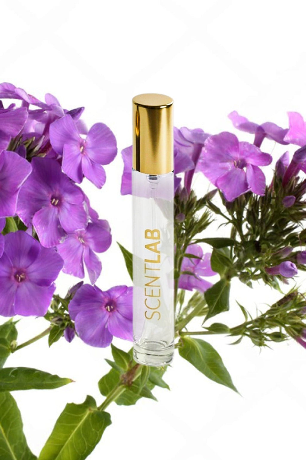 TILIA - Luxury Perfume by ScentLab Fragrances
