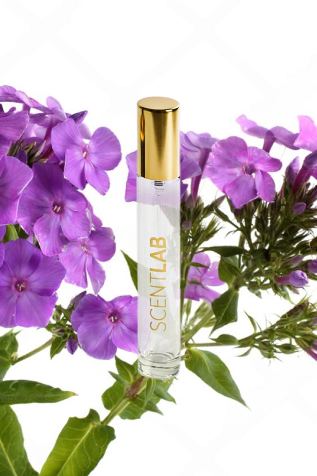 TILIA - Luxury Perfume by ScentLab Fragrances