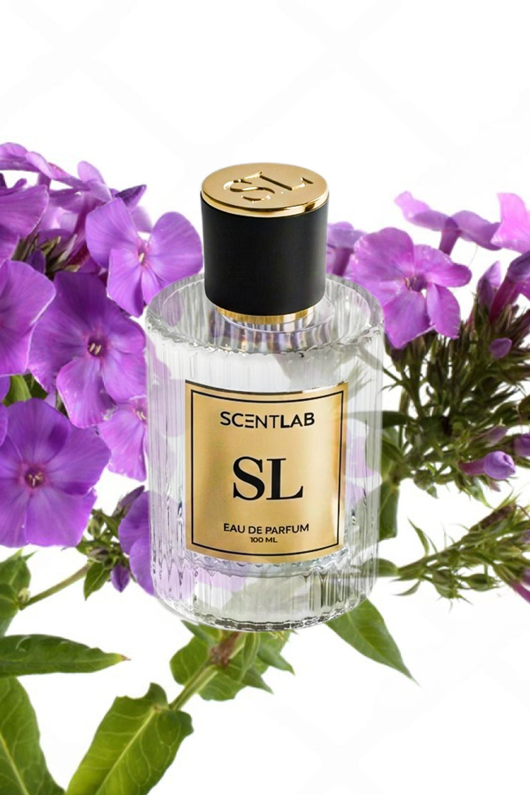 TILIA - Luxury Perfume by ScentLab Fragrances
