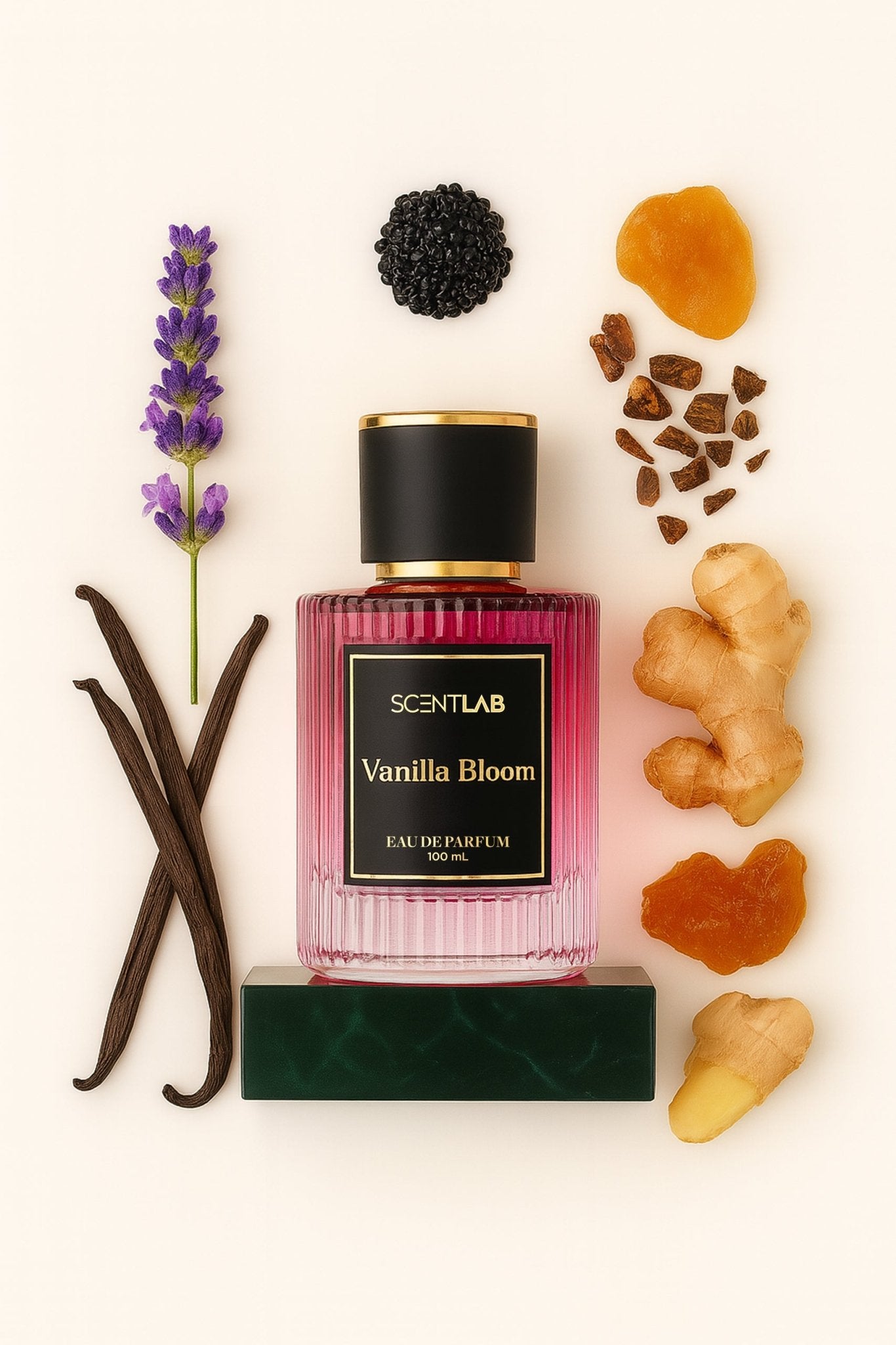 Vanilla Bloom – Vanilla & Lavender Perfume for Women – ScentLab